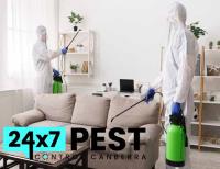 Ant Pest Control Canberra image 7